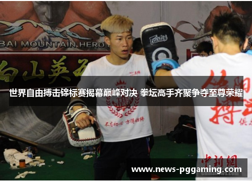 世界自由搏击锦标赛揭幕巅峰对决 拳坛高手齐聚争夺至尊荣耀