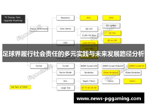 足球界履行社会责任的多元实践与未来发展路径分析