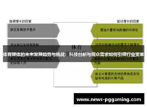 体育媒体的未来发展趋势与挑战：科技创新与观众需求如何引领行业变革