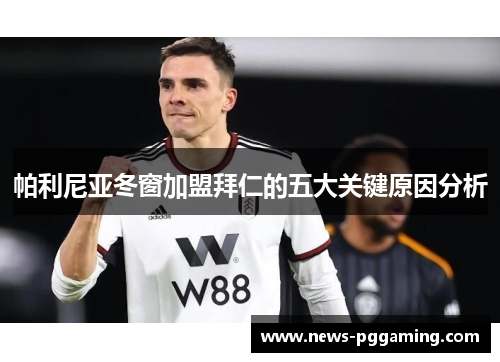 帕利尼亚冬窗加盟拜仁的五大关键原因分析
