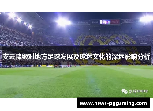 支云降级对地方足球发展及球迷文化的深远影响分析