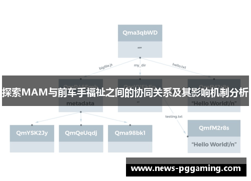 探索MAM与前车手福祉之间的协同关系及其影响机制分析
