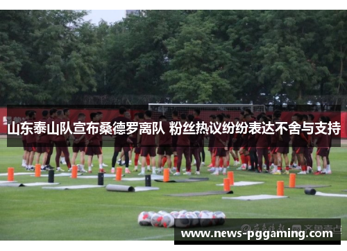 山东泰山队宣布桑德罗离队 粉丝热议纷纷表达不舍与支持