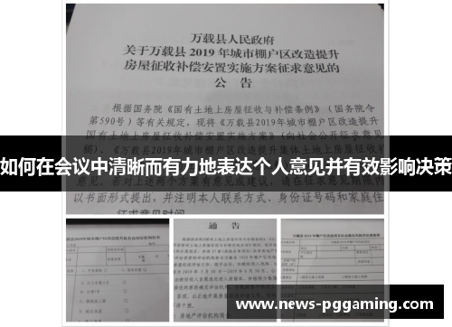 如何在会议中清晰而有力地表达个人意见并有效影响决策