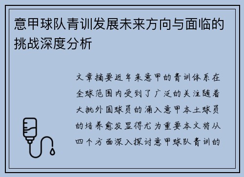 意甲球队青训发展未来方向与面临的挑战深度分析
